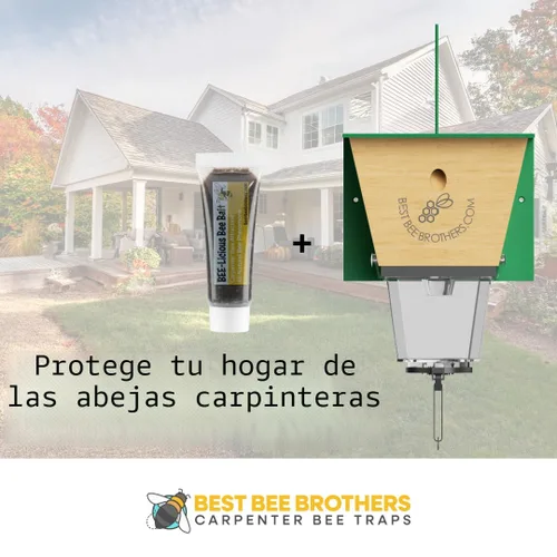 Vista 5 de Best Bee Brothers Bee-Licious Bee Bait, señuelo de abeja carpintero totalmente natural, tubo de compresión de 0.3 fl oz