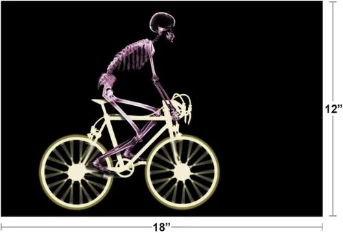 Vista 3 de Esqueleto montando en bicicleta de diez velocidades X Ray Foto Fotografía rayos xray ver a través de radiología arte huesos sección transversal
