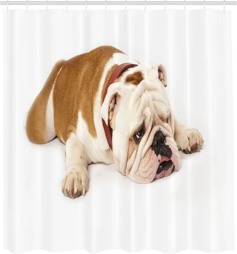 Vista 2 de Ambesonne Cortina de ducha de bulldog inglés, Bulldog triste y cansado, fotografía de animales de raza pura europea, juego de decoración de baño