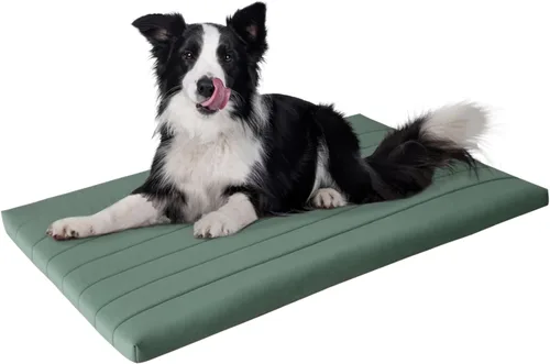 Vista 11 de BALANCE Cama para Jaula de Perro, Colchón Ortopédico para Perro con Forro Impermeable, Tapete Lavable de Espuma para Jaula para Razas de Perros Hoja