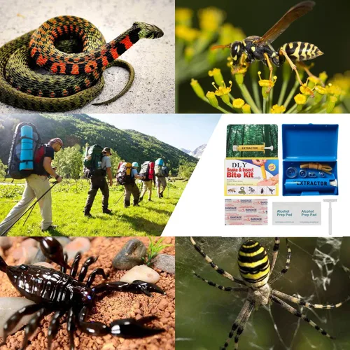 Vista 7 de DLY Kit de mordida de serpiente, kit de picadura de abeja, herramienta de succión de picadura de insectos, bomba de succión extractor de veneno