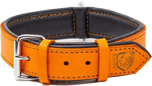 Vista 2 de Riparo - Juego de collar y correa de cuero para perro, correa de perro de doble asa de 6 pies x 3/4 pulgadas y collar ancho resistente para perros