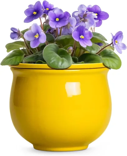 Vista 19 de Macetas de riego automático de 6 pulgadas para plantas de interior, macetas de cerámica violeta africana con maceta interior absorbente, maceta