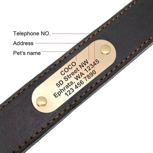 Vista 4 de Didog Collares de perro de cuero genuino con placa de identificación grabada, collar de perro de cuero suave personalizado con etiqueta de Verde