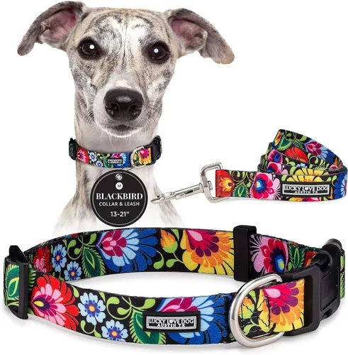 Vista 63 de Lucky Love Dog - Collar para perras pequeñas, diseño Blackbird de estampado alegre con flores de primavera y verano, talla XS Collar Blackbird