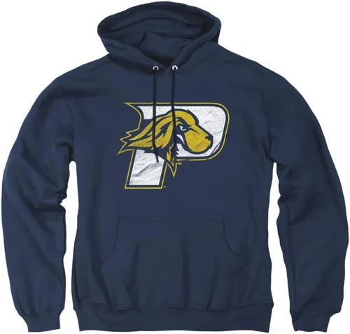 Vista 62 de Distressed College Primary Logo Adult Pullover Hoodie Collection 1 Universidad Estatal de Albany