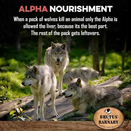 Vista 6 de BRUTUS & BARNABY Decoración de comida para perros – Hígado de res – Mejora la comida de tus perros con esta mezcla llena de sabor – Espolvorea sobre