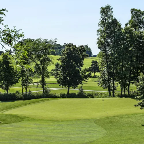 Vista 7 de Outsidepride PC2.0 (Penncross) - Semillas de césped dobladas rastreras – 1 libra de grado de campo de golf premium, densas y resistentes al desgaste