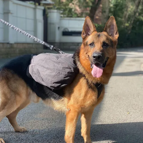 Vista 8 de Mochila multifuncional para perros para senderismo, mochila multifuncional para el día del perro, bolsa de viaje con cremallera, mochila