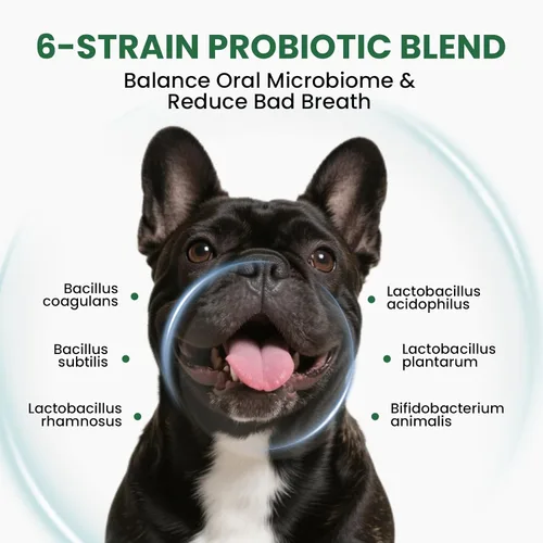 Vista 2 de Pawfect Vita Polvo dental para perros y gatos: ambientador de aliento definitivo y cuidado bucal – Elimina el mal aliento, controla la placa