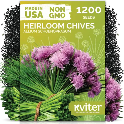 Vista 14 de KVITER 1000 semillas de quinua de cordero (Chenopodium Album) - Hierbas comestibles autóctonas, ideales para jardines de hierbas orgánicas