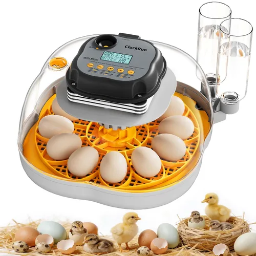 Vista 7 de Incubadora de 12 huevos con pantalla de temperatura y humedad, giro automático de huevos, vela de huevos, recarga automática de agua, para huevos