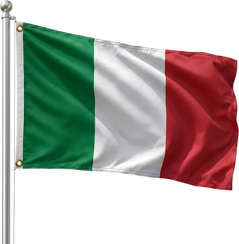 Vista 124 de DMSE - Bandera nacional beninesa beninesa de la República de África Occidental, 2 x 3 pies, 100 % poliéster, 100 % poliéster, resistente a los rayos