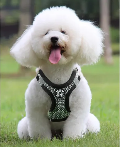 Vista 3 de Arnés para perro, arnés reflectante ajustable para perros y gatos pequeños, chihuahua para perros y gatos pequeños, medianos (negro, mediano)