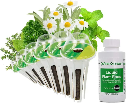 Vista 17 de AeroGarden Kit de Cápsulas de Semillas de Hierbas Italianas Surtidas, 6 Cápsulas