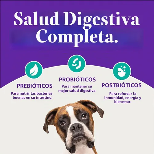 Vista 8 de Halo Holistic - Alimento seco para perros, receta vegana a base de plantas, algas, 3.5 libras