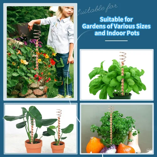 Vista 7 de Estacas para plantas de electrocultivo, paquete de 6 estacas de cobre de 11.5 pulgadas de largo, antenas de bobina de cobre para jardín de cultivo