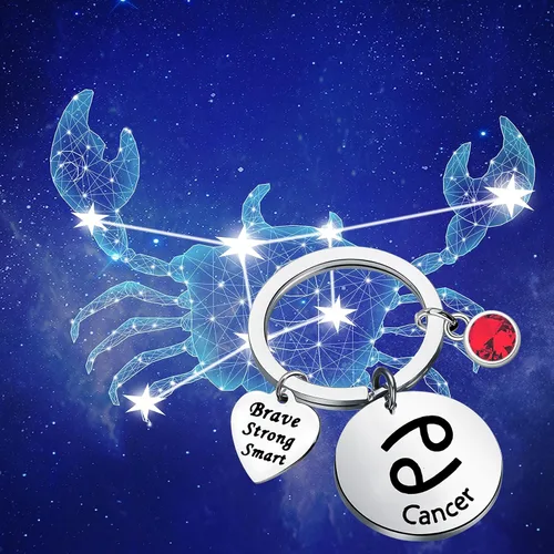 Vista 6 de bobauna Llavero de disco de constelación del zodiaco con 12 piedras natales, horóscopo, joyería de astrología, regalo para familiares y amigos