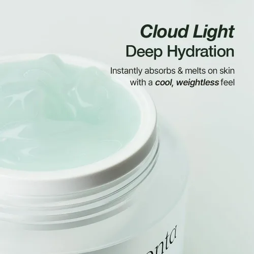 Vista 7 de NATURAL DERMA PROJECT NDP Cica Cream - Crema hidratante facial de gel para aliviar quemaduras solares, hidratante coreano ligero para pieles