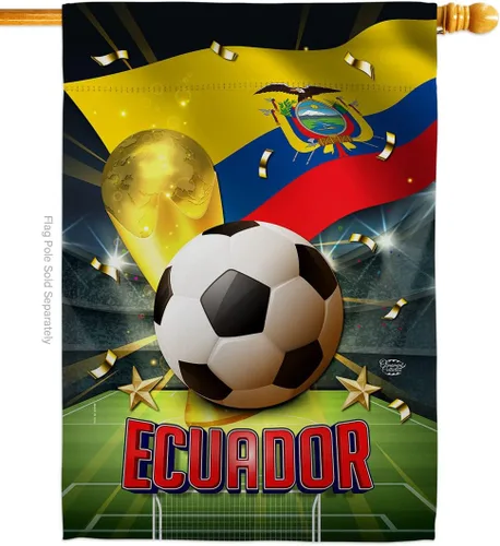 Vista 84 de Bandera del equipo de la Copa Mundial de la FIFA 2022 con bandera de Argentina para decoración del hogar al aire libre, arte de pared