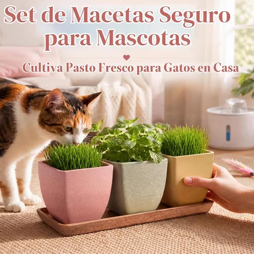 Vista 6 de Macetas pequeñas con agujeros de drenaje para macetas de hierbas