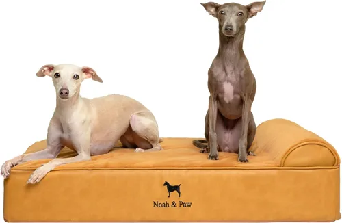 Vista 29 de NOAH & PAW Cama pequeña para perros, 20 x 15 x 6.5 pulgadas, cama para gatos de interior, espuma viscoelástica ortopédica de cáscara de huevo Verde