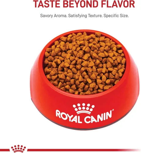 Vista 10 de De Royal Canin, Size Health Nutrition, comida seca para cachorros extra pequeños, comida para perros Specialized Nutrition for Extra Small Breeds