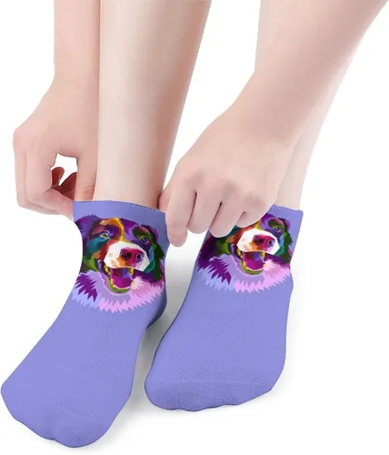 Vista 5 de Colorful Border Collie Dog Short Sock Casual Low Cut Socks Crew Socks Running Socks For Women Men