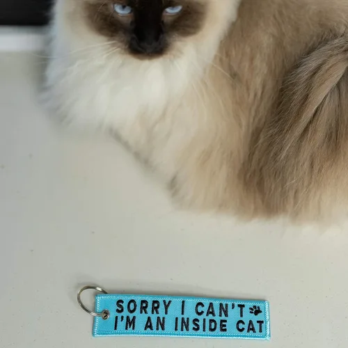 Vista 2 de Llavero de gato para llaves de coche, llaves de casa, amantes de mascotas y regalos