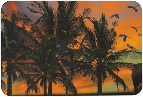 Vista 9 de Alfombras de baño de playa con puesta de sol, antideslizantes, de secado rápido, súper absorbentes, diseño de isla oceánica, vida marina, arena
