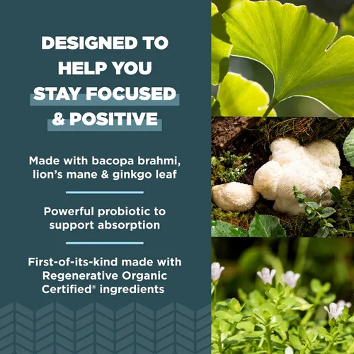 Vista 4 de Ancient Nutrition Cápsulas cerebrales enfocadas certificadas orgánicas regenerativas, hechas con hoja de ginkgo, melena de león para ayudar a