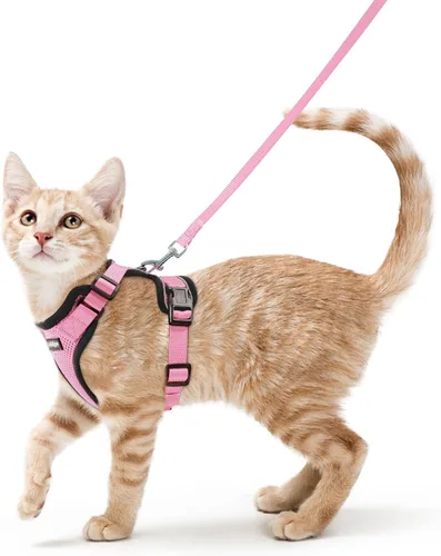Vista 62 de rabbitgoo Cat Harness and Leash Set, Escape Proof Vest, XXS, Berry Pounce Soft Breathable Mesh, No-choke Adjustable Fit, Snap Buckles, Sturdy