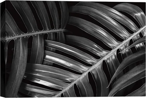 Vista 27 de SigNWIN - Lienzo decorativo para pared, diseño de hojas de monstera tropicales, fotografía realismo, diseño moderno en blanco y negro, para sala