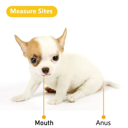 Vista 3 de Termómetro electrónico animal para mascotas Termómetro digital es un termómetro recto rápido para perros, caballos, gatos, cerdos, ovejas
