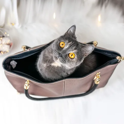 Vista 7 de FOXLOVER Bolsos de mano de gran capacidad para mujer de cuero genuino para mujer bolsos de hombro de moda