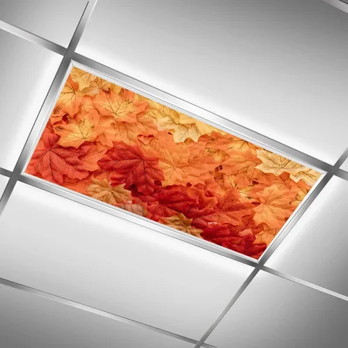 Vista 31 de Cubiertas de luz fluorescente para luces de techo de aula – Película retroiluminada de 2x4 pies para luminarias fluorescentes, fácil de instalar