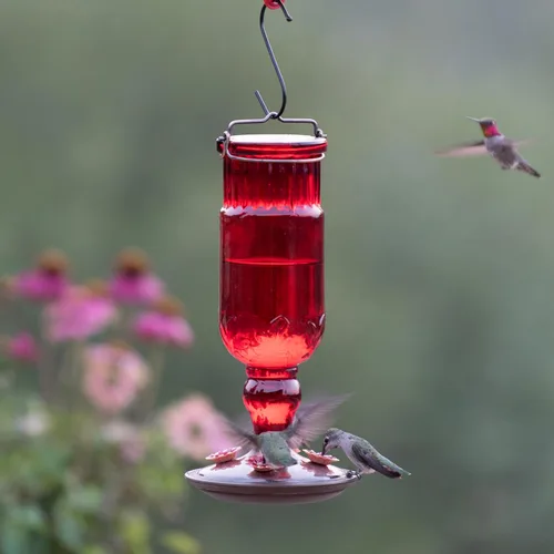 Vista 8 de Perky-Pet 8119-2 - Alimentador de colibrí con forma de botella, estilo antiguo y de color rojo