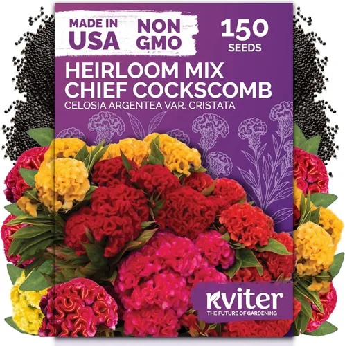 Vista 48 de KVITER 15,000 semillas de rosa musgo mixta para plantar (Portulaca grandiflora) – Cubierta de suelo con floración de reliquia, semilla de Portulaca