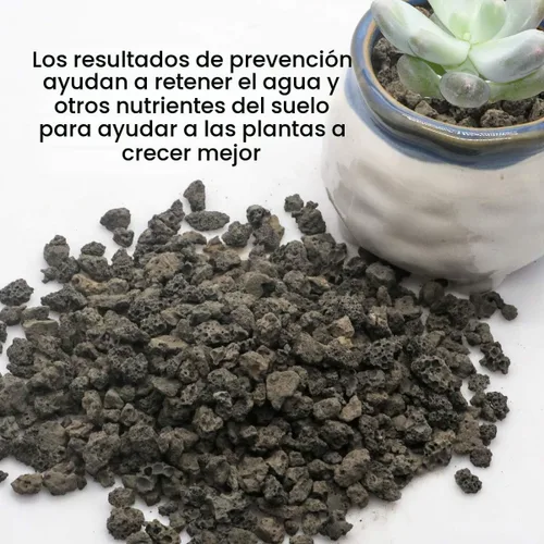 Vista 5 de TOYPOPOR Aditivo de suelo de roca de lava hortícola negra para cactus y plantas suculentas sin tintes ni productos químicos, 100% pura roca