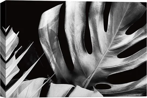Vista 16 de SigNWIN - Lienzo decorativo para pared, diseño de hojas de monstera tropicales, fotografía realismo, diseño moderno en blanco y negro, para sala
