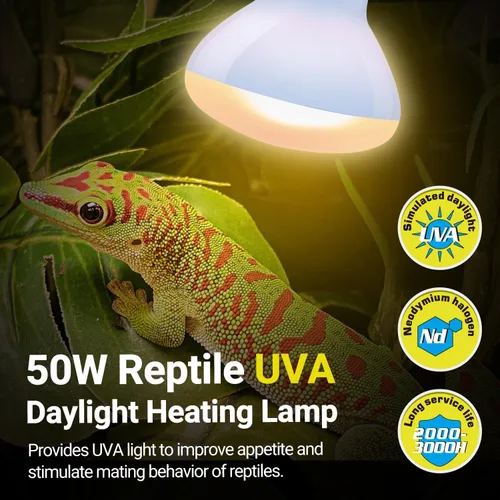 Vista 3 de REPTI ZOO Lámpara de calor para reptiles, paquete de 2 lámparas de 50 W para reptiles UVA luz diurna lámpara de calefacción bombilla bombilla luz