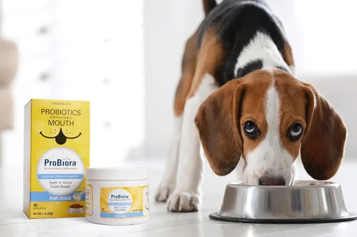 Vista 3 de ProBioraPet (anteriormente EvoraPet) Probiótico oral para mascotas Apoya dientes y encías saludables Refresca el aliento Suministro para 30