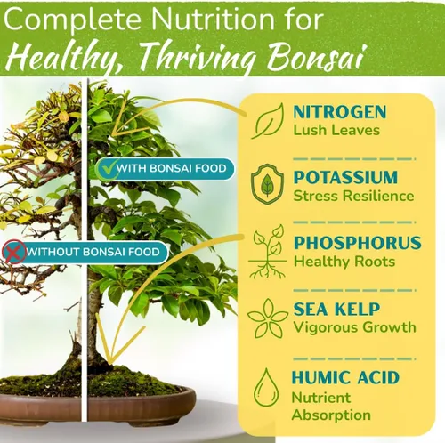 Vista 2 de Alimento para árbol bonsái Fertilizante líquido suave de primera calidad para un crecimiento saludable, tallos fuertes y hermosas floraciones
