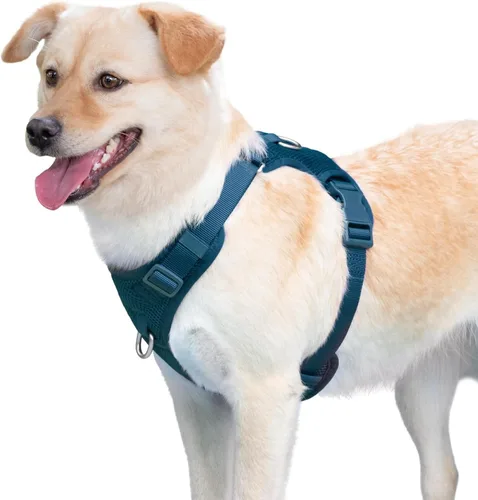 Vista 8 de Arnés sin tirones para perros pequeños, medianos y grandes, chaleco de malla ajustable de 2 capas con doble clip, a prueba de escapes, liberación