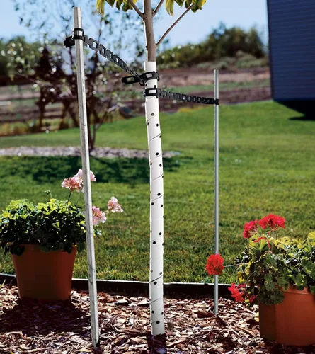 Vista 2 de Master Mark Envoltura de plástico para árboles, protector de tronco de árbol, paquete de 2 protectores en espiral
