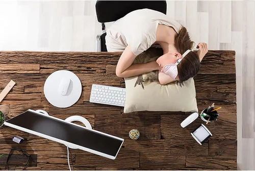 Vista 4 de Fundas de almohada para sofá, divertidas y lindas fundas de almohada de mapache o sofá, color marrón y blanco, gestos de roca, fundas de cojín