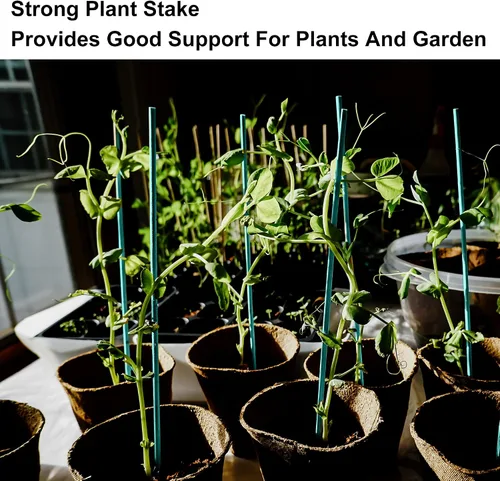 Vista 5 de 50 piezas de varillas de soporte para plantas de 18 pulgadas, palos de bambú verde, estacas de madera para jardín, estacas de madera