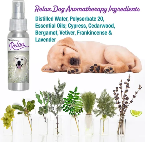 Vista 2 de The Blissful Dog Labrador Retriever Relax Roll-On Aromaterapia para perros