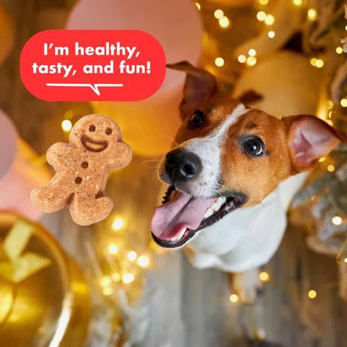 Vista 4 de Buddy Softies - Golosinas suaves y masticables para perros con pan de jengibre, bolsa de 6 onzas