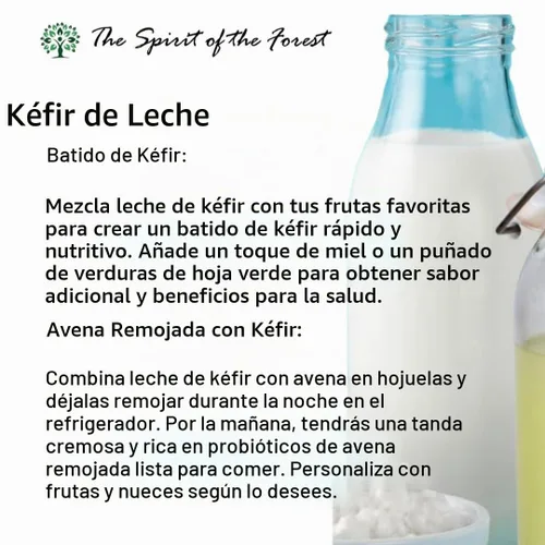 Vista 8 de Granos vivos de kéfir de leche - Live Active Starter Cultures Scoby para bebida probiótica casera para almendras, kéfir de coco o leche entera